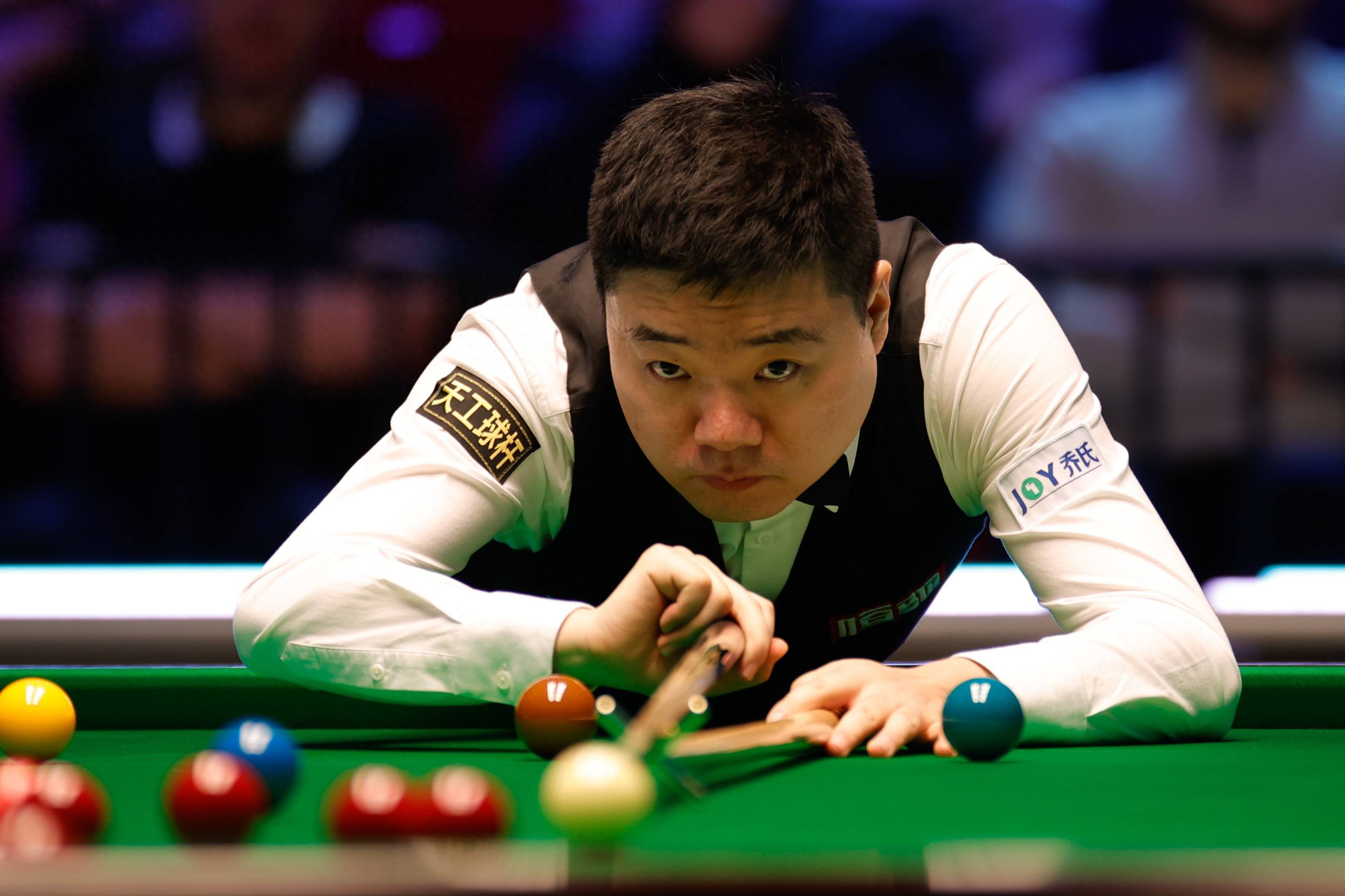 术多样性 术多样性